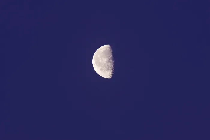 Framed Print : Half Moon Print by ImageBROKER Framed Print : Half Moon Print by ImageBROKER