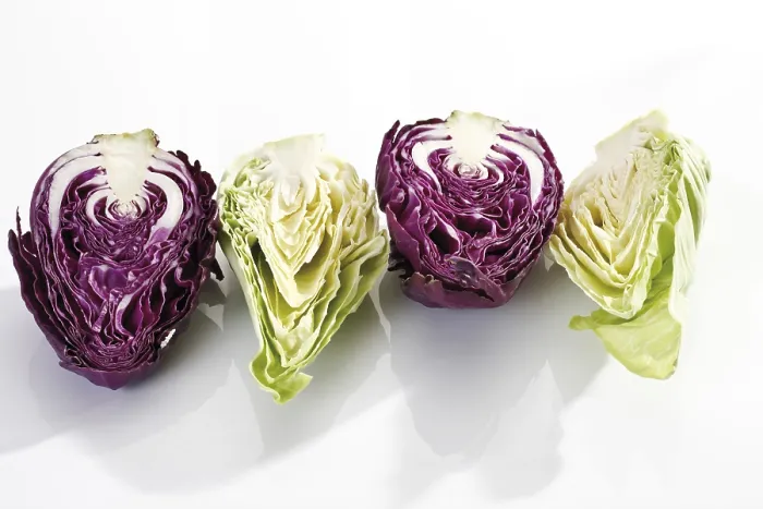 Framed Print : Halved Red and Green Pointed Cabbage Print Framed Print : Halved Red and Green Pointed Cabbage Print