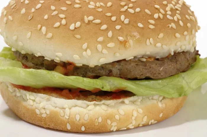 Framed Print : Hamburger Print by imageBROKER Framed Print : Hamburger Print by imageBROKER