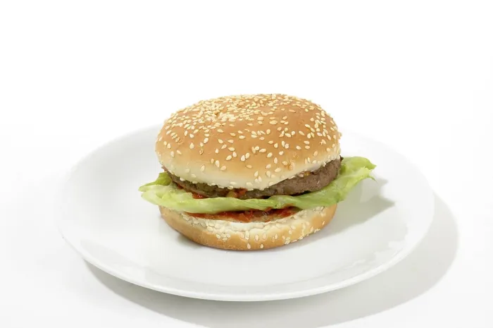 Framed Print : Hamburger Print by imageBROKER Framed Print : Hamburger Print by imageBROKER
