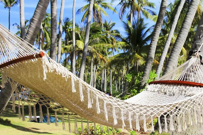 Framed Print : Hammock Print: Palm Trees on Pineapple Island Beach, Vietnam Framed Print : Hammock Print: Palm Trees on Pineapple Island Beach, Vietnam
