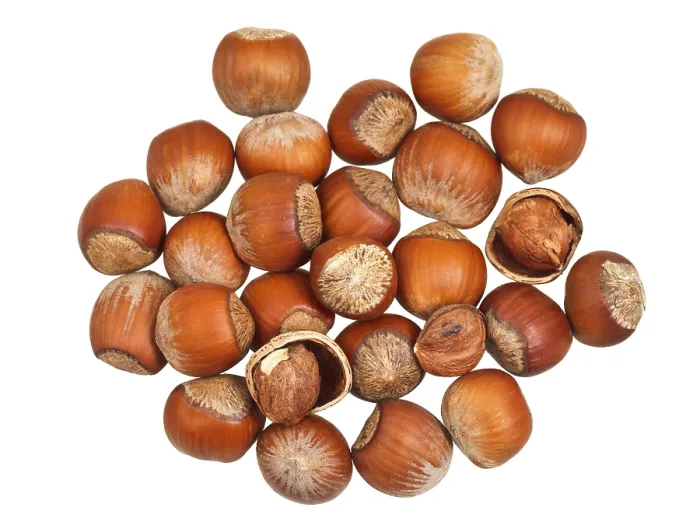 Framed Print : Handful of Hazelnuts Print on White Background Framed Print : Handful of Hazelnuts Print on White Background