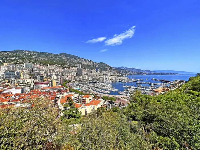 Framed Print : Monaco Harbour Print Overview Framed Print : Monaco Harbour Print Overview