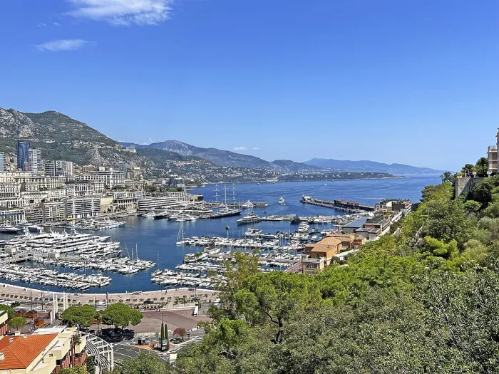 Framed Print : Monaco Harbour Print Overview Framed Print : Monaco Harbour Print Overview
