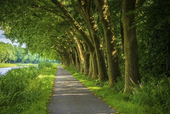 Framed Print : Ems Cycle Path Print near Meppen Framed Print : Ems Cycle Path Print near Meppen