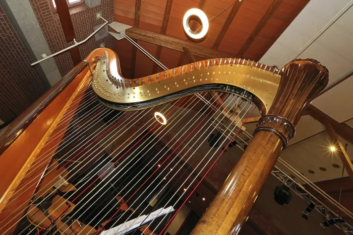 Framed Print : Harp Print by ImageBROKER Framed Print : Harp Print by ImageBROKER