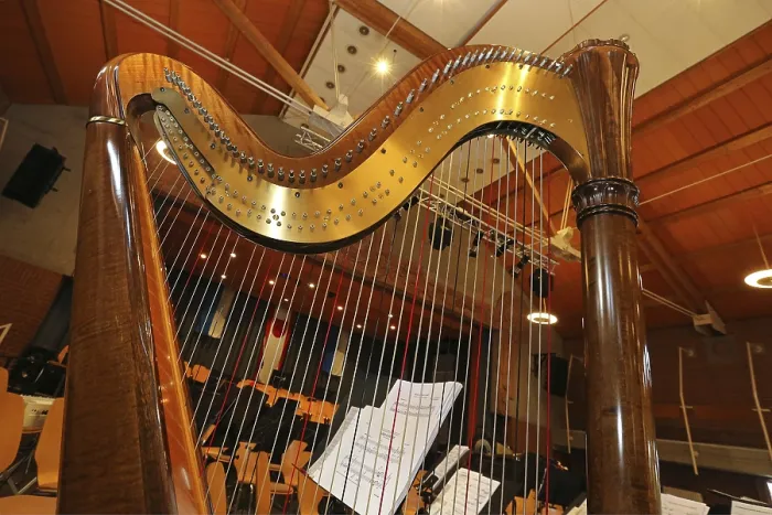 Framed Print : Harp Print by Harp from imageBROKER Framed Print : Harp Print by Harp from imageBROKER