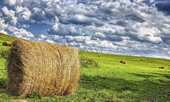 Framed Print : After Harvest Print - Rural Landscape Framed Print : After Harvest Print - Rural Landscape