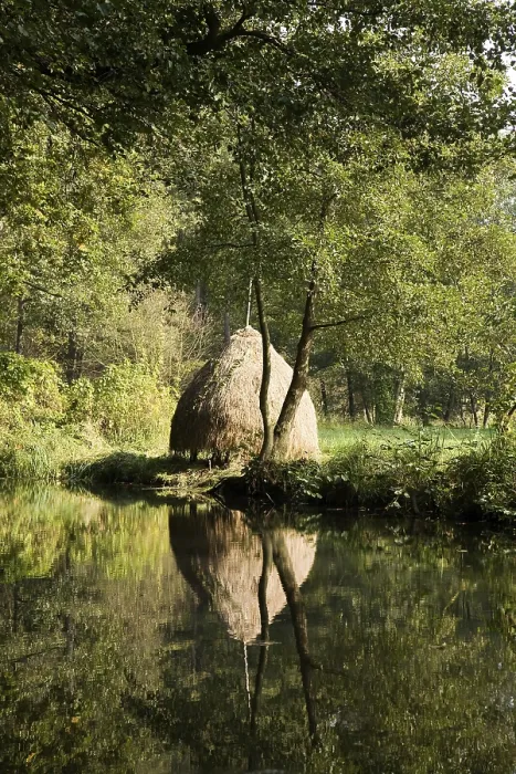 Framed Print : Haystack at the Spree in the Spree Forest Print, Brandenburg, Germany Framed Print : Haystack at the Spree in the Spree Forest Print, Brandenburg, Germany