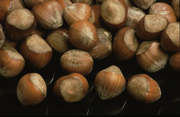 Framed Print : Hazelnuts Print - Close-up of Hazelnuts