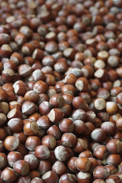 Framed Print : Hazelnuts Print - Close-up of Hazelnuts on a Wooden Board