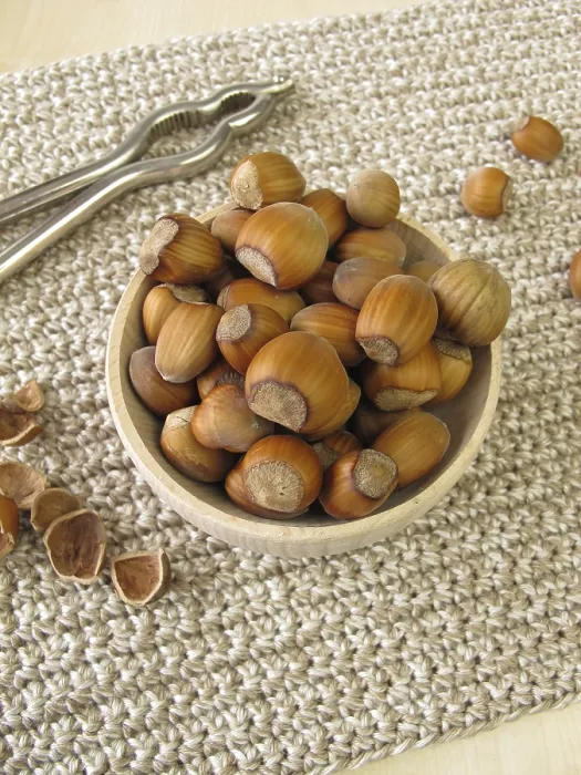 Framed Print : Hazelnuts Print - Aromatic Nut Harvest Framed Print : Hazelnuts Print - Aromatic Nut Harvest