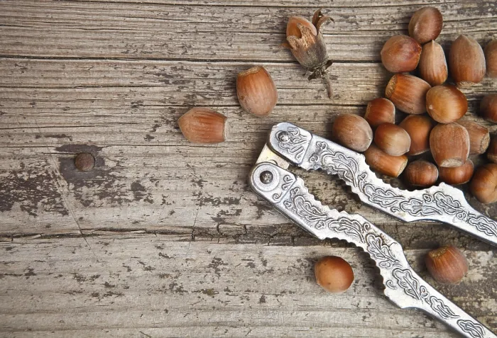 Framed Print : Hazelnuts and Nutcracker Print on Wooden Table Framed Print : Hazelnuts and Nutcracker Print on Wooden Table