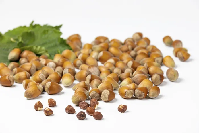 Framed Print : Hazelnuts in and without Shell Print on White Background Framed Print : Hazelnuts in and without Shell Print on White Background