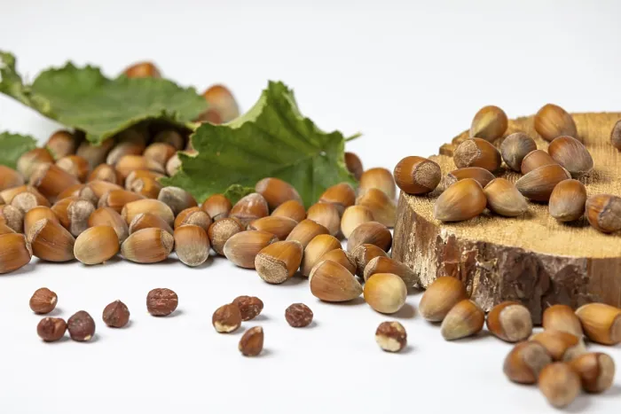 Framed Print : Hazelnuts in and without Shell Print on White Background Framed Print : Hazelnuts in and without Shell Print on White Background