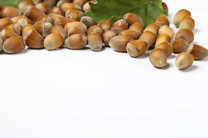 Framed Print : Hazelnuts in Shell and Leaves Print Framed Print : Hazelnuts in Shell and Leaves Print