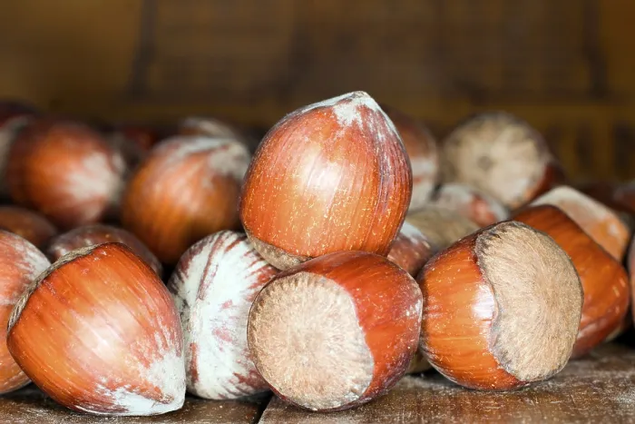 Framed Print : Hazelnuts Print, Studio Photography Framed Print : Hazelnuts Print, Studio Photography