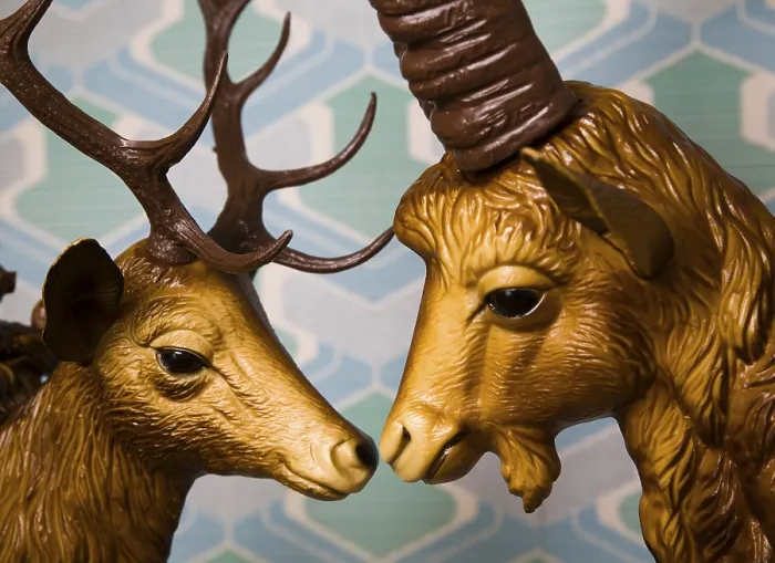 Framed Print : Head of a Deer and Ibex Print: Intimate Animal Encounter Framed Print : Head of a Deer and Ibex Print: Intimate Animal Encounter