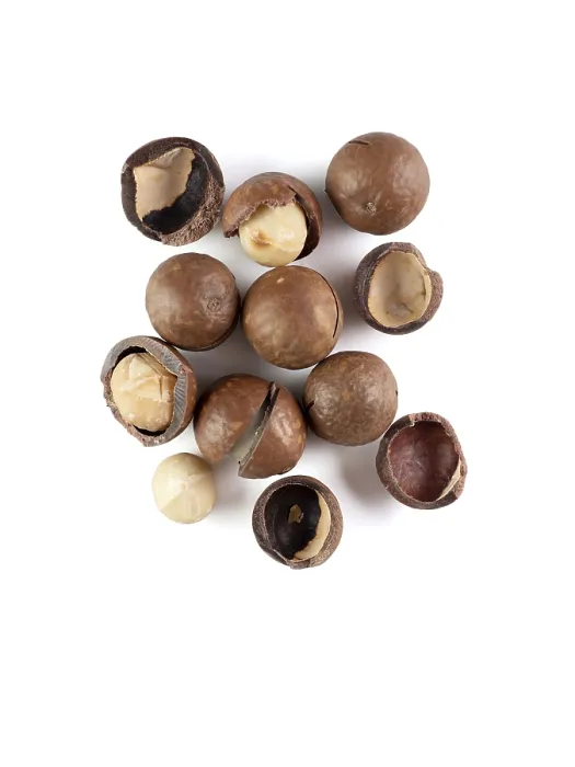 Framed Print : Macadamia Nuts Print on White Background Framed Print : Macadamia Nuts Print on White Background