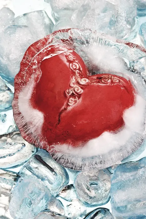 Framed Print : Heart in Ice Print by Olafur Eliasson Framed Print : Heart in Ice Print by Olafur Eliasson