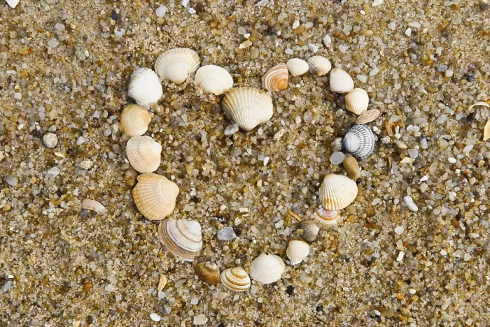 Framed Print : Heart Made of Shells in the Sand Print Framed Print : Heart Made of Shells in the Sand Print