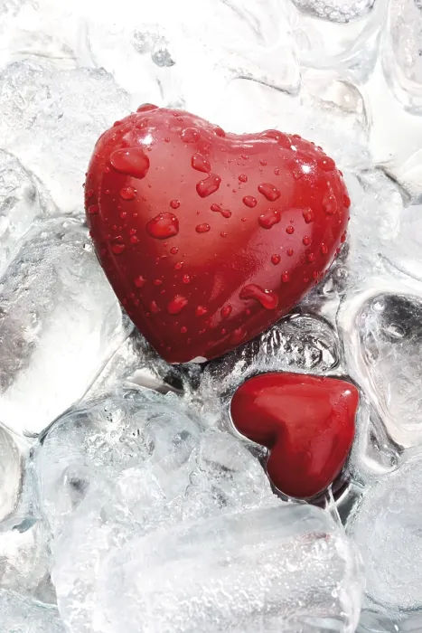 Framed Print : Hearts on Ice Print Framed Print : Hearts on Ice Print