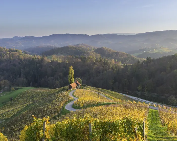 Framed Print : HerzerlstraBe Evening Vineyard Print, Slovenia Framed Print : HerzerlstraBe Evening Vineyard Print, Slovenia