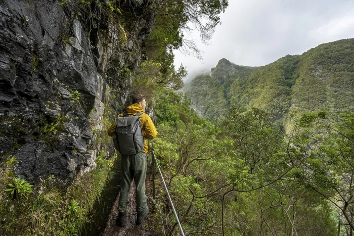 Framed Print : Hikers on a Levada Path, Madeira Print Framed Print : Hikers on a Levada Path, Madeira Print