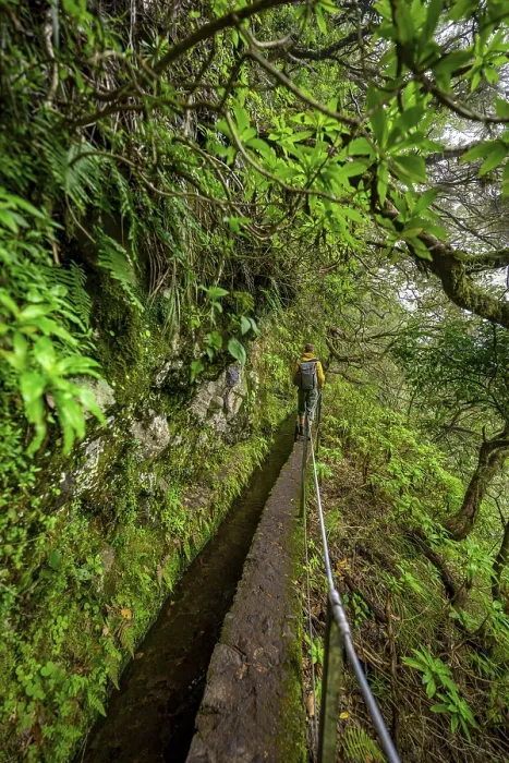 Framed Print : Hikers on a Levada Path Print, Madeira, Portugal