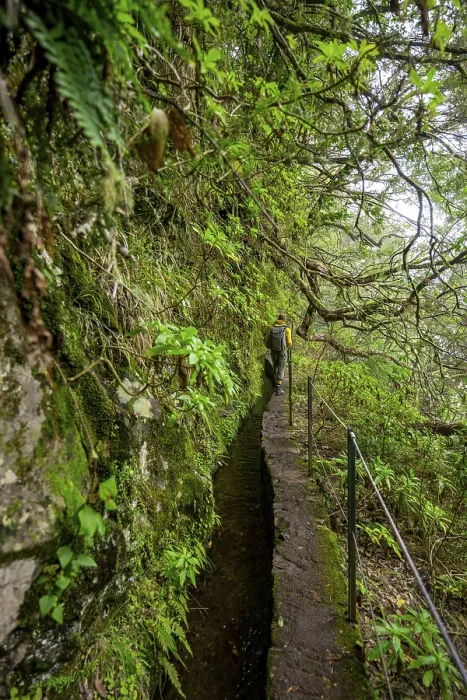 Framed Print : Hikers on a Levada Path, Madeira Print Framed Print : Hikers on a Levada Path, Madeira Print