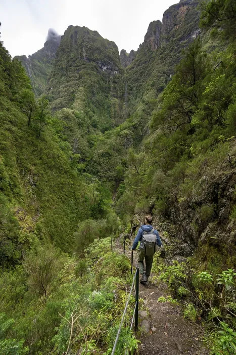 Framed Print : Hikers on a Levada Path, Madeira Print