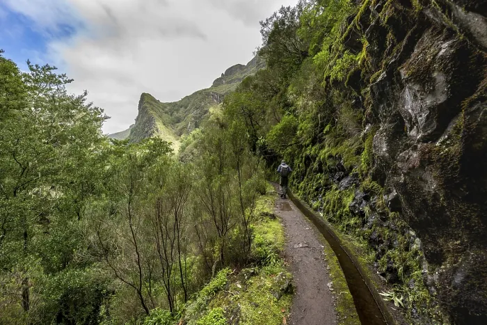 Framed Print : Hikers on a Levada Path Print, Madeira, Portugal Framed Print : Hikers on a Levada Path Print, Madeira, Portugal