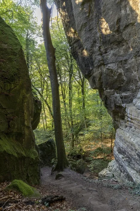 Framed Print : Luxembourg Sandstone Cliffs Hiking Trail Print Framed Print : Luxembourg Sandstone Cliffs Hiking Trail Print