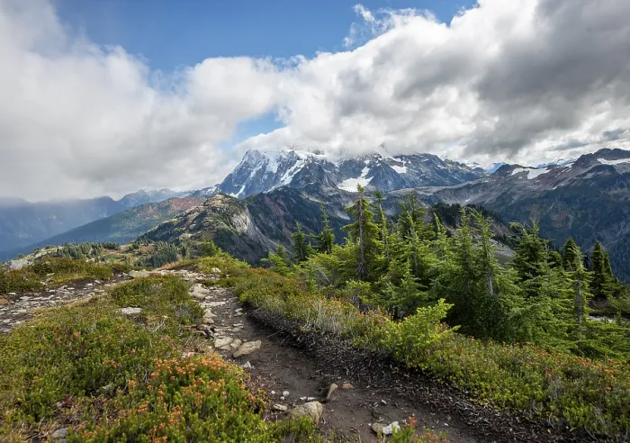 Framed Print : Table Mountain Hiking Trail Print, Mt. Shuksan Landscape Framed Print : Table Mountain Hiking Trail Print, Mt. Shuksan Landscape