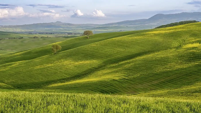 Framed Print : Tuscan Hilly Landscape Print Framed Print : Tuscan Hilly Landscape Print