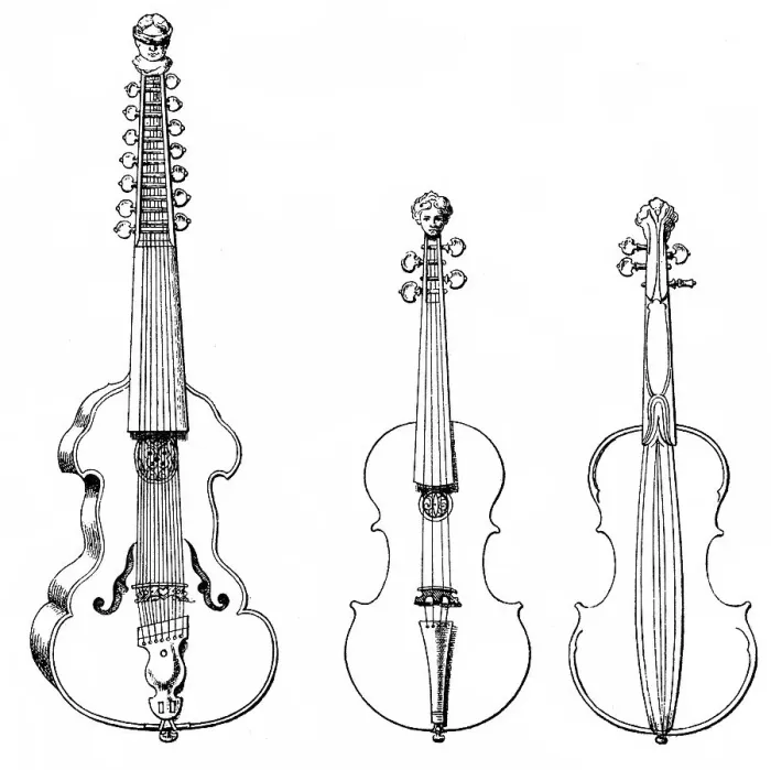 Framed Print : Historical Stringed Instruments Print Framed Print : Historical Stringed Instruments Print