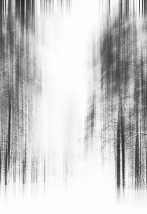 Framed Print : Winter Wonderland Luxury Print Framed Print : Winter Wonderland Luxury Print