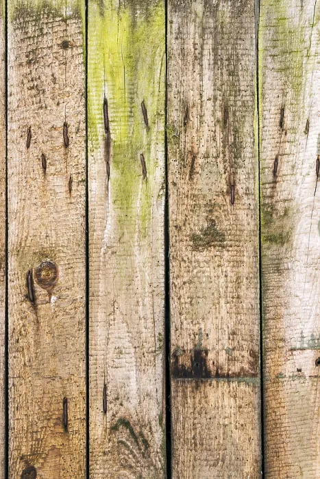 Framed Print : Wood Wall Print Framed Print : Wood Wall Print