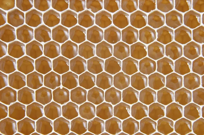 Framed Print : Honeycomb Honeycomb Print Framed Print : Honeycomb Honeycomb Print