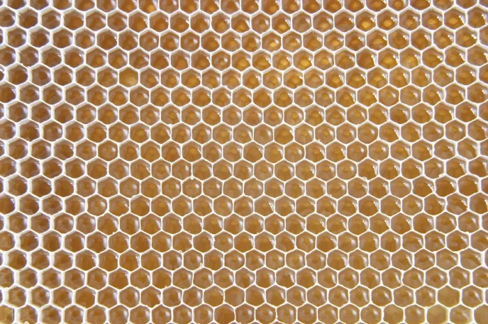 Framed Print : Honeycomb Honeycomb Print Framed Print : Honeycomb Honeycomb Print