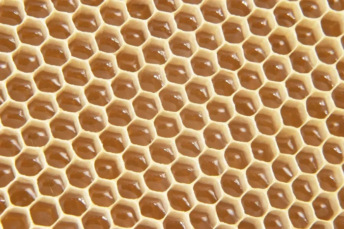 Framed Print : Honeycomb Honeycomb Print Framed Print : Honeycomb Honeycomb Print