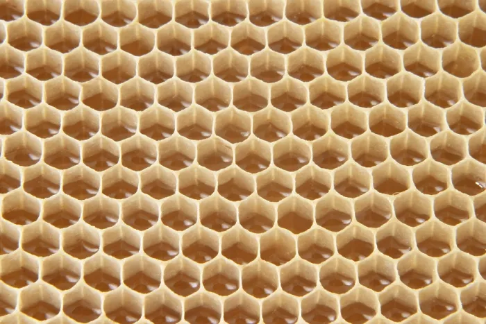 Framed Print : Honeycomb Honeycomb Print Framed Print : Honeycomb Honeycomb Print