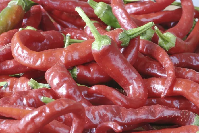 Framed Print : Hot Red Pepper Print Framed Print : Hot Red Pepper Print
