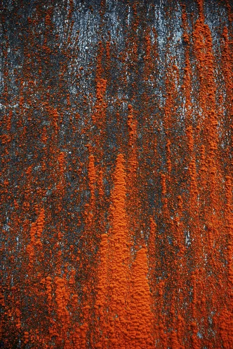 Framed Print : House Facade with Red Algae Growth Print, Sao Miguel Island Framed Print : House Facade with Red Algae Growth Print, Sao Miguel Island