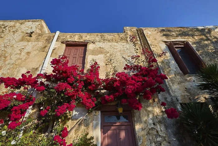 Framed Print : Crete House Facade Print with Red Geraniums Framed Print : Crete House Facade Print with Red Geraniums