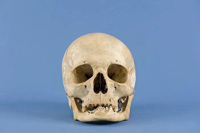 Framed Print : Human Skull Print Framed Print : Human Skull Print