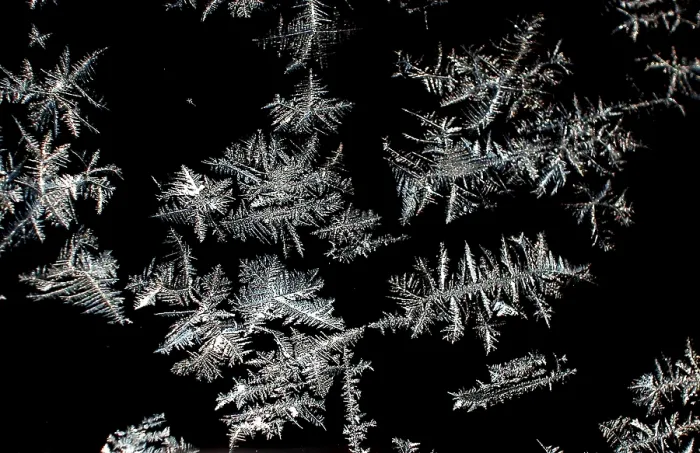 Framed Print : Ice Crystal Print - Nature's Delicate Form Framed Print : Ice Crystal Print - Nature's Delicate Form