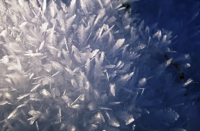 Framed Print : Ice Crystals Print - Delicate Winter Formation Framed Print : Ice Crystals Print - Delicate Winter Formation