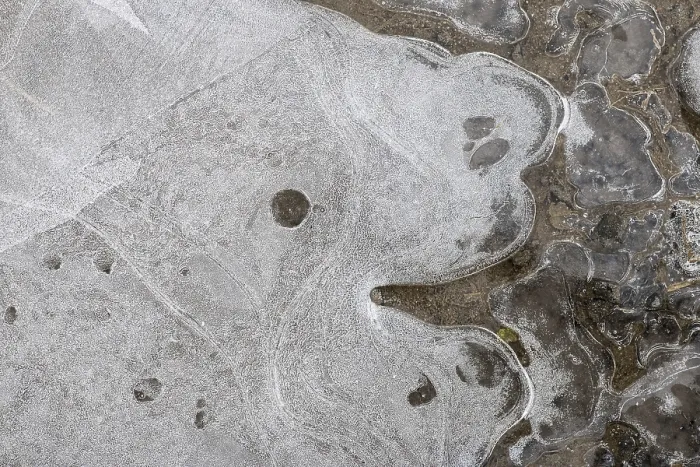 Framed Print : Ice Patterns in a Puddle, Hesse, Germany Print Framed Print : Ice Patterns in a Puddle, Hesse, Germany Print