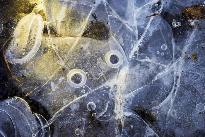 Framed Print : Ice Structures in a Puddle Print, Hesse, Germany Framed Print : Ice Structures in a Puddle Print, Hesse, Germany